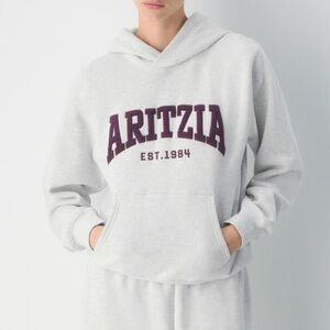 Aritzia Perfect Fit Hoodie